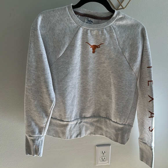 Embroidered Texas Longhorn, gray sweater - Picture 3 of 5